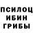 Псилоцибиновые грибы прущие грибы BRUH,5:51