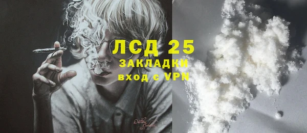 шишки Нязепетровск