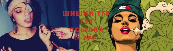шишки Нязепетровск