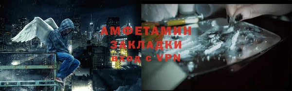 шишки Нязепетровск