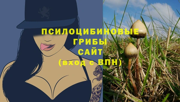 шишки Нязепетровск