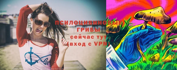 шишки Нязепетровск