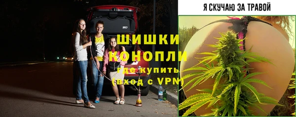 шишки Нязепетровск
