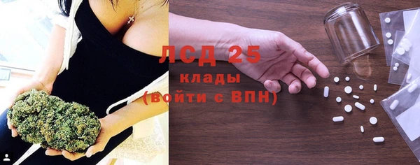 шишки Нязепетровск