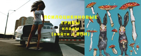 герыч Няндома