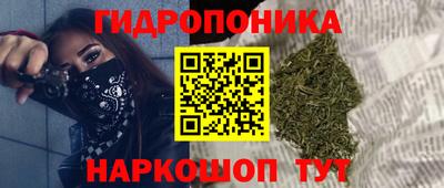 молекула духа Жуковский