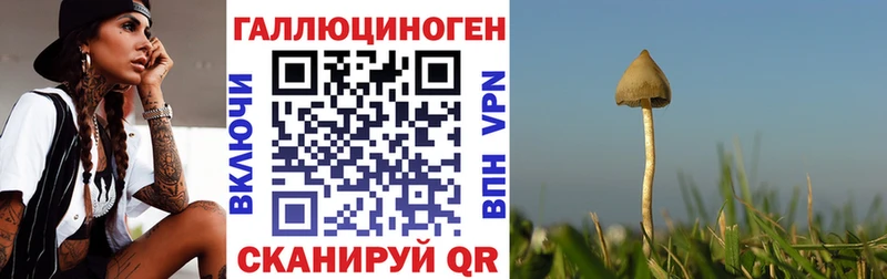 где можно купить наркотик Унеча Галлюциногенные грибы мицелий