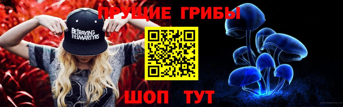 Галлюциногенные грибы Psilocybine cubensis Унеча